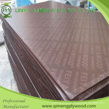 Waterproof Glue Poplar Core 13.5mm Shuttering Plywood for Construction